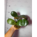 Фаленопсис (LDs Bear Queen C.T.L x Schilleriana) Фаленопсис (LDs Bear Queen C.T.L x Schilleriana)