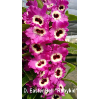 Den. Easter Bell Rubykid