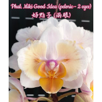 Phal. Miki Good Idea метелик