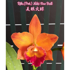 Rth. Miki Fire Ball