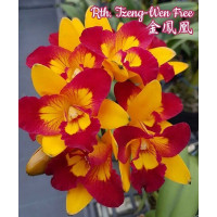 Rth. Tzeng-Wen Free