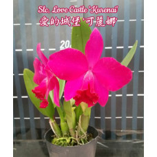 Slc. Love Castle Kurenai