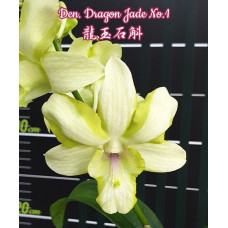 Den. Dragon Jade #1