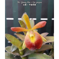 Blc. Young Min × Epi. Porpax