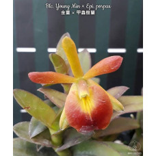 Blc. Young Min × Epi. Porpax