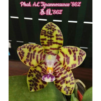 Phal. AL Tyrannosaurus 862
