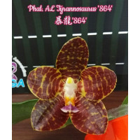 Phal. AL Tyrannosaurus 864