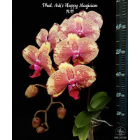 Phal. Arks Happy Magician