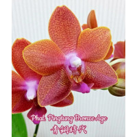 Phal. Pingtung Bronze Age