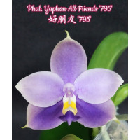 Phal. Yaphon All Friends 795