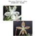 Фаленопсис (Speciosa Purple Spots × Zebrina)