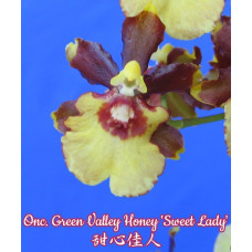 Onc. Green Valley Honey Sweet Lady