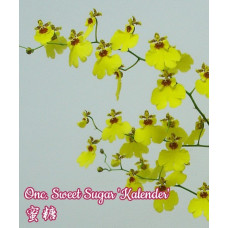 Onc. Sweet Sugar Kalender