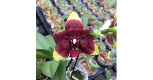 HD порно фильміндегі күлкілі сәттер Мен жағажайда жамбымды жұлып алдым